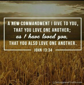 IMG_20180221_190016_868